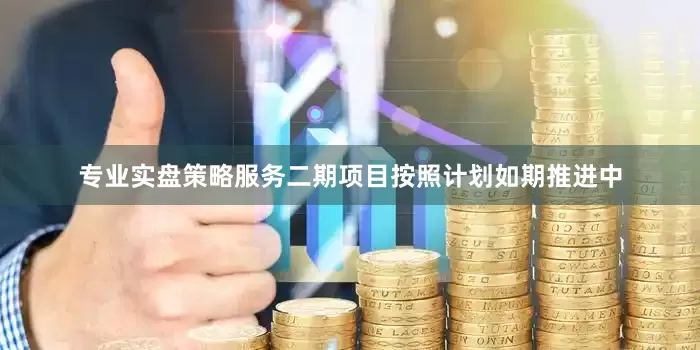 专业实盘策略服务二期项目按照计划如期推进中