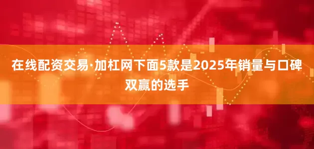 在线配资交易·加杠网下面5款是2025年销量与口碑双赢的选手