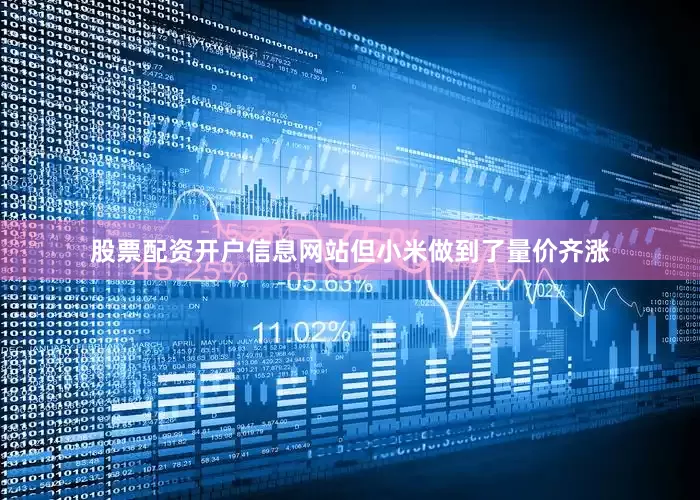股票配资开户信息网站但小米做到了量价齐涨