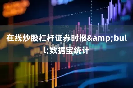 在线炒股杠杆证券时报&bull;数据宝统计