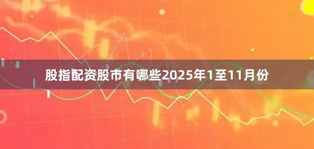 股指配资股市有哪些2025年1至11月份
