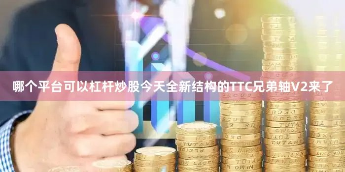 哪个平台可以杠杆炒股今天全新结构的TTC兄弟轴V2来了