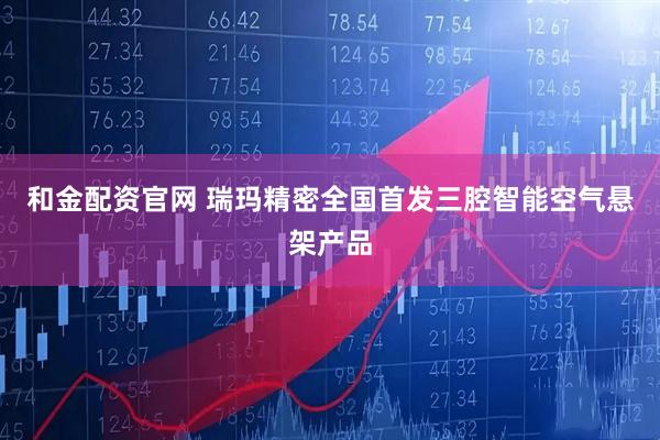 和金配资官网 瑞玛精密全国首发三腔智能空气悬架产品